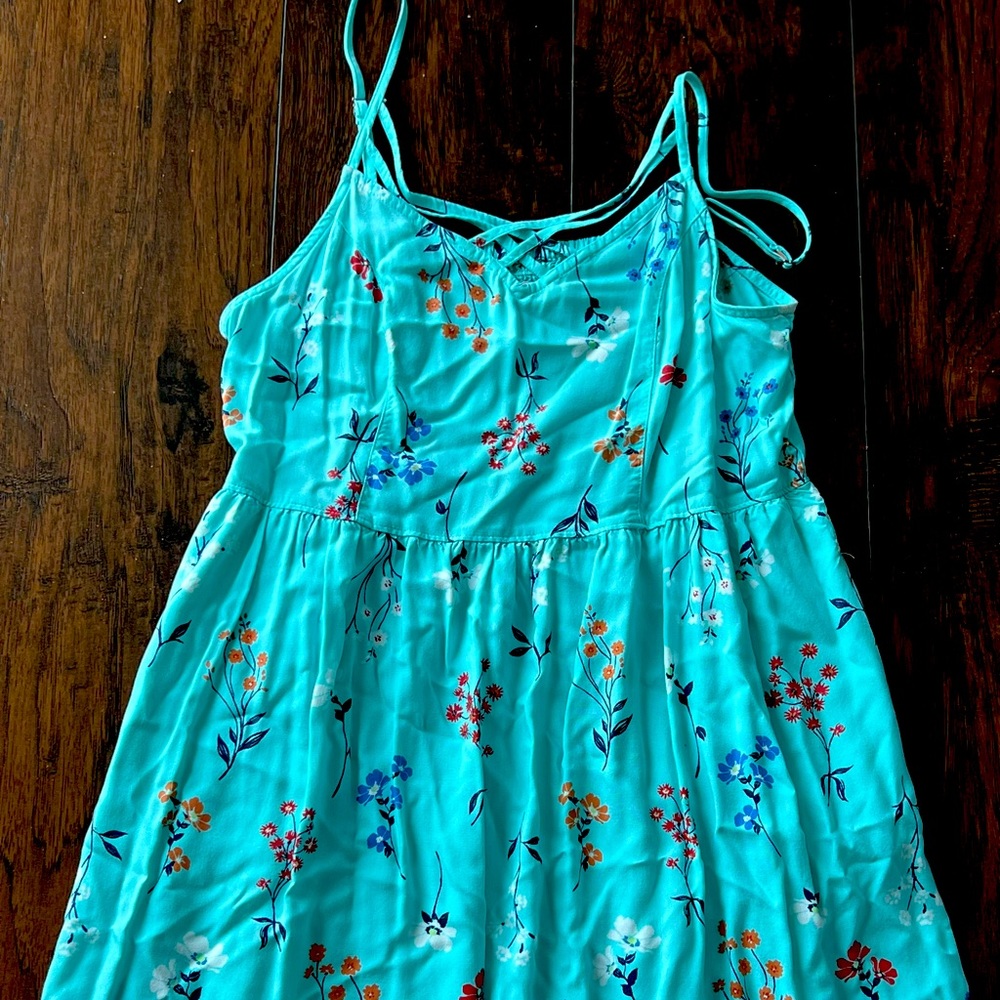 Large blue with flowers dress